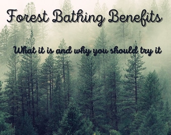 May include: A misty forest scene with tall evergreen trees. The text "Forest Bathing Benefits" and "What it is and why you should try it" is superimposed on the image.