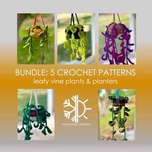 Op de afbeelding: Een bundel met 5 haakpatronen voor bladplanten en potten. De patronen omvatten een verscheidenheid aan kleuren en stijlen, waaronder groen, paars en oranje. De patronen zijn beschikbaar om te downloaden en kunnen worden gebruikt om je eigen unieke gehaakte planten te maken.