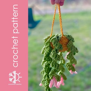 May include: A crocheted hanging planter with a yellow pot and green leaves. The plant has pink flowers and is hanging from a yellow cord.