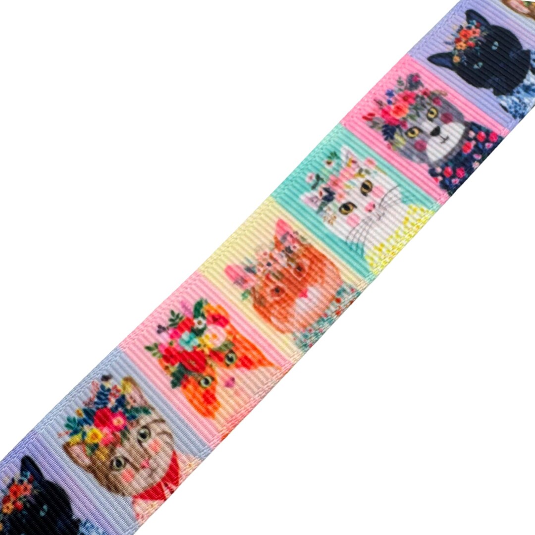 3 Yards Cat Kitten 1