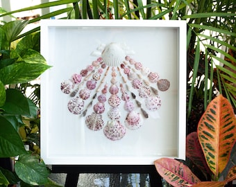 May include: A white framed artwork featuring a fan-shaped arrangement of pink and white seashells. The shells are arranged in a symmetrical pattern, with the largest shell at the top and the smallest shells at the bottom.