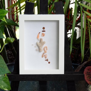 Può includere: Un'immagine incorniciata in bianco con un passepartout bianco e uno sfondo bianco. L'immagine contiene una collezione di piccole conchiglie e coralli disposti in una linea verticale.