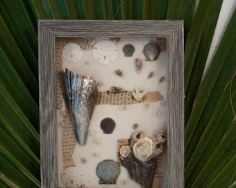 Shell Shadow Box - Muurkunst