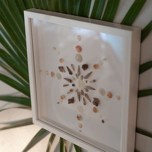 Shell Shadow Box - Wall Art - Etsy