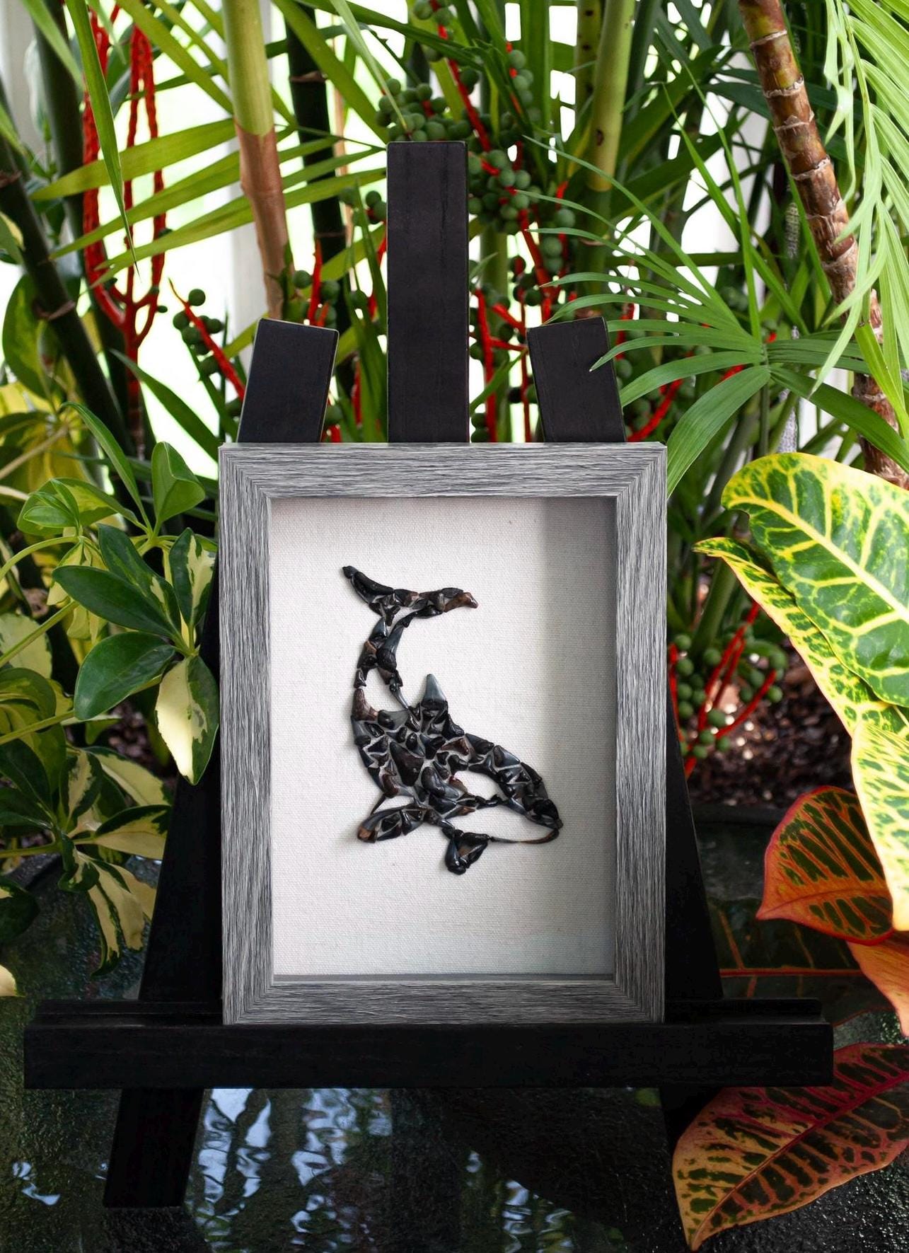 シャーク　マウス　スカル　オブジェ Orca Shark Tooth Shadow Box - Etsy