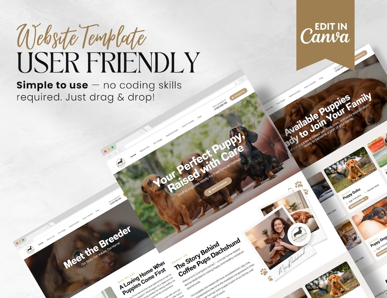 Puede incluir: Un dise&ntilde;o de plantilla de sitio web con cachorros de perro salchicha. El dise&ntilde;o incluye el texto "Website Template User Friendly" y "Edit in Canva". El sitio web muestra im&aacute;genes de cachorros e informaci&oacute;n sobre el criador.