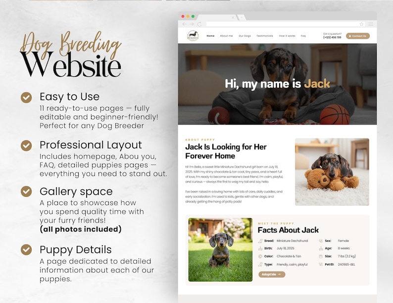 Puede incluir: Dise&ntilde;o de sitio web para un negocio de cr&iacute;a de perros. El sitio web presenta un cachorro de perro salchicha llamado Jack. El sitio destaca caracter&iacute;sticas como f&aacute;cil de usar, dise&ntilde;o profesional, espacio de galer&iacute;a y detalles del cachorro. El texto dice "Dog Breeding Website."