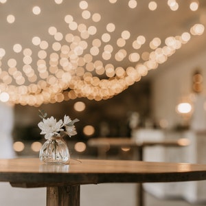 Bud vases with twine bow