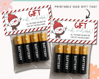 Puede incluir: Dos bolsas de plástico transparente, cada una con cinco pilas negras y doradas. Cada bolsa tiene una etiqueta con un muñeco de nieve y el texto "GIFT not included!" y "ALL THE POWER YOU NEED FOR THAT GIFT YOU REALLY WANT."