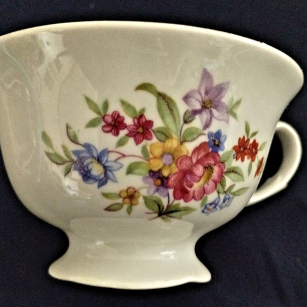 fine china tea cup in rare Karolina/ Favolina pattern, made in Poland