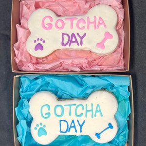 Gotcha Day | Pumpkin Peanut Butter Dog Treat