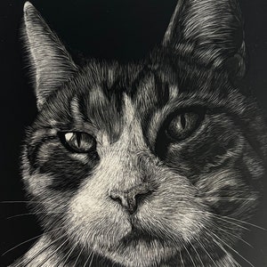 Commissioning Scratchboard Pets