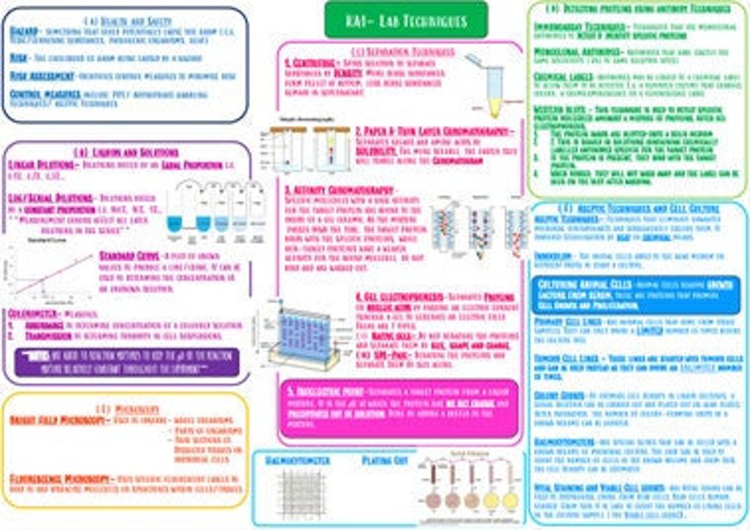 SQA Advanced Higher Biology Notes Etsy