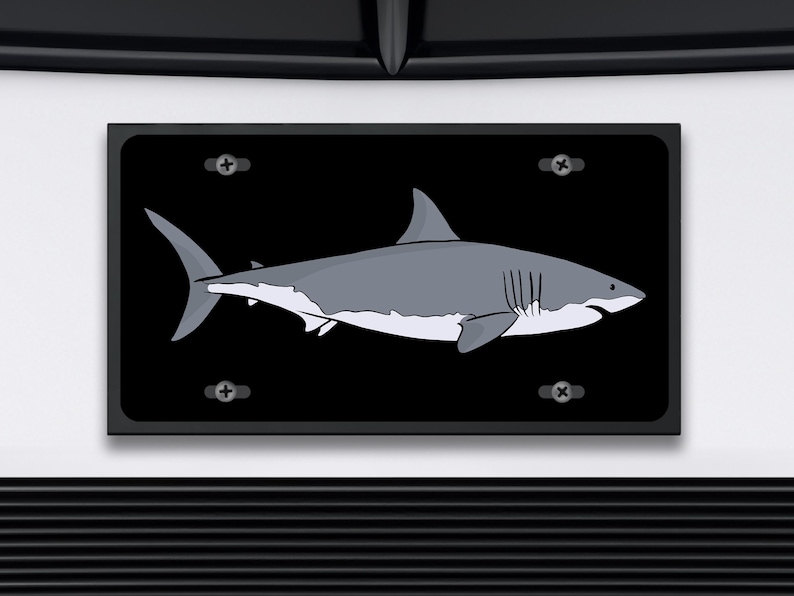 May include: A black and white illustration of a great white shark on a black background. The shark is facing right and has a white underbelly. The image is framed with a black border.