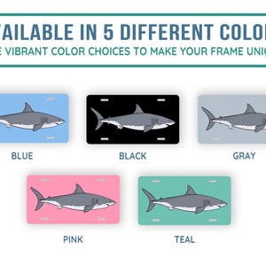 May include: Five different color options for a shark license plate frame. The colors are blue, black, gray, pink, and teal.