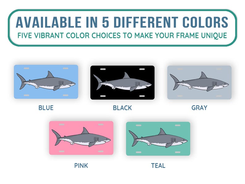 May include: Five different color options for a shark license plate frame. The colors are blue, black, gray, pink, and teal.