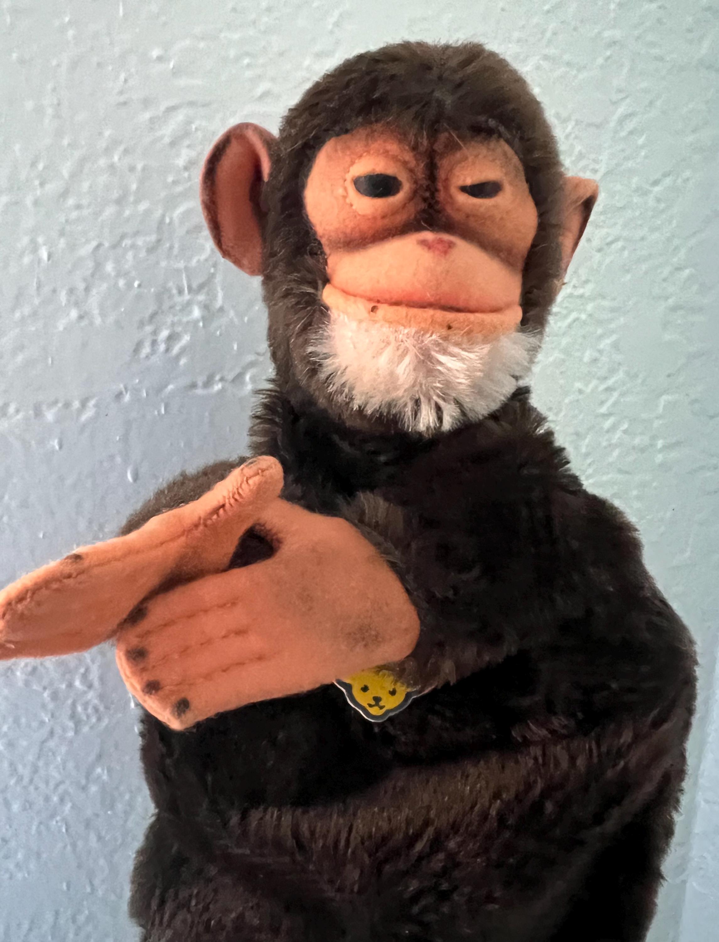 ☆シュタイフ☆Hand-Jocko Chimpanzee 17cm オールID's☆チンパンジー