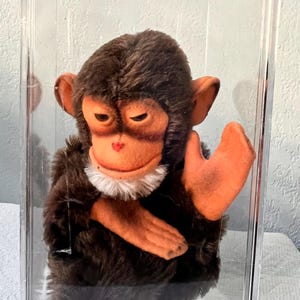 May include: A vintage stuffed monkey with brown fur, orange hands and face, and a white collar, displayed in a clear acrylic box. The monkey has a red nose and is posed with one hand raised.