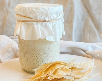 May include: A glass jar with a white paper lid and a rubber band, filled with a bubbly, light-colored sourdough starter.  Next to the jar is a pile of thin, light brown crackers.