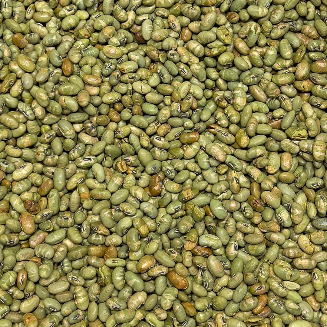 Edamame Dry Roasted & Unsalted Healthy Snack Etsy