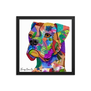 Boxer Framed Print