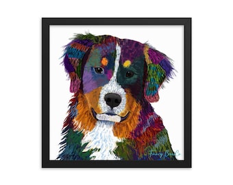 Bernese Mountain Dog Framed Print