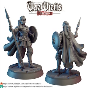May include: A gray miniature figure of a female elf warrior, holding a spear and shield. The figure is wearing armor and a cape, standing on a stone base. The text "Vae Victis Miniatures" is at the top.