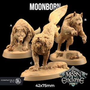 May include: Three detailed miniature wolf figures, painted in a light brown color, with a snarling expression. The figures are posed in different dynamic stances and are set on circular bases. The figures are labeled A, B, and C. The text "MOONBORN" is at the top of the image. The text "42x75mm" is at the bottom of the image. The text "the MOON Enclave PART I" is at the bottom right of the image.
