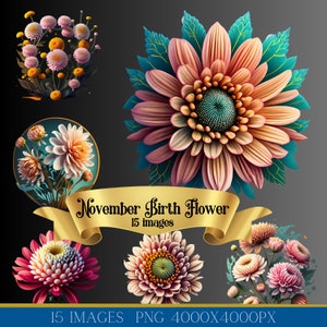 November Birth Flower Clip Art Bundle png, Chrysanthemums birthflower clipart, 15 images, instant digital download, watercolor floral png
