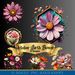 October Birth Flower Clip Art Bundle png, cosmos birthflower clipart, 15 images, instant digital download, watercolor floral Clipart png