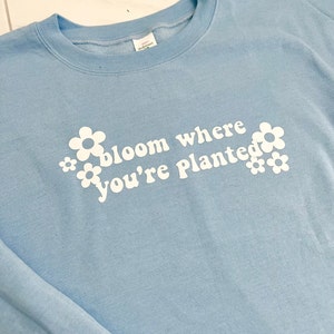 May include: Light blue sweatshirt with white text that reads "bloom where you're planted" and white flower graphics.