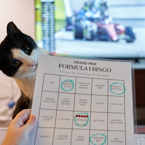 Juego de bingo laminado, juego de cuatro tarjetas, programa de televisión