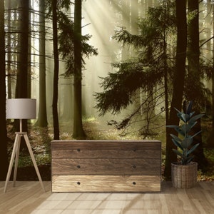 foggy forest removable wallpaper, peel and stick wallpaper, misty forest, forest wallpaper