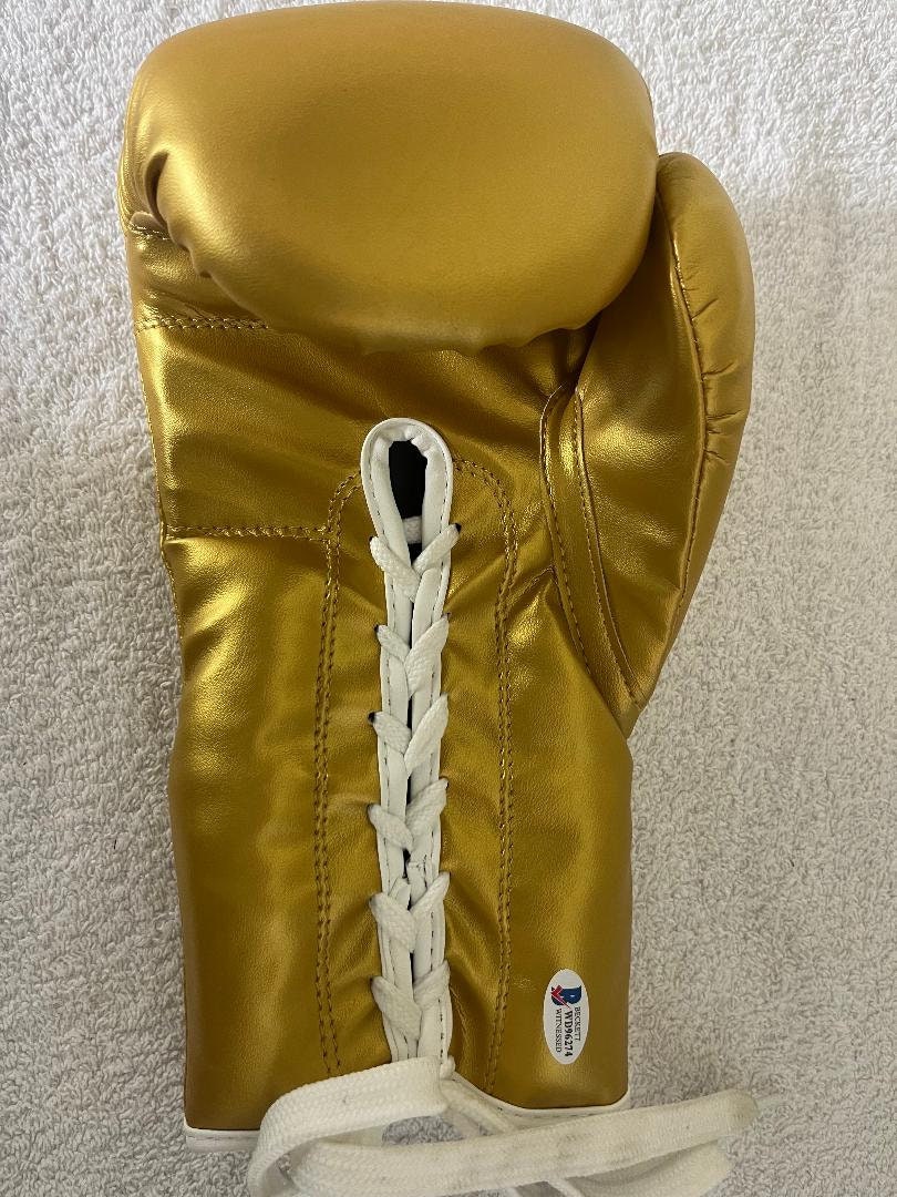 フロイド・メイウェザー 直筆サイン入り ボクシンググローブ