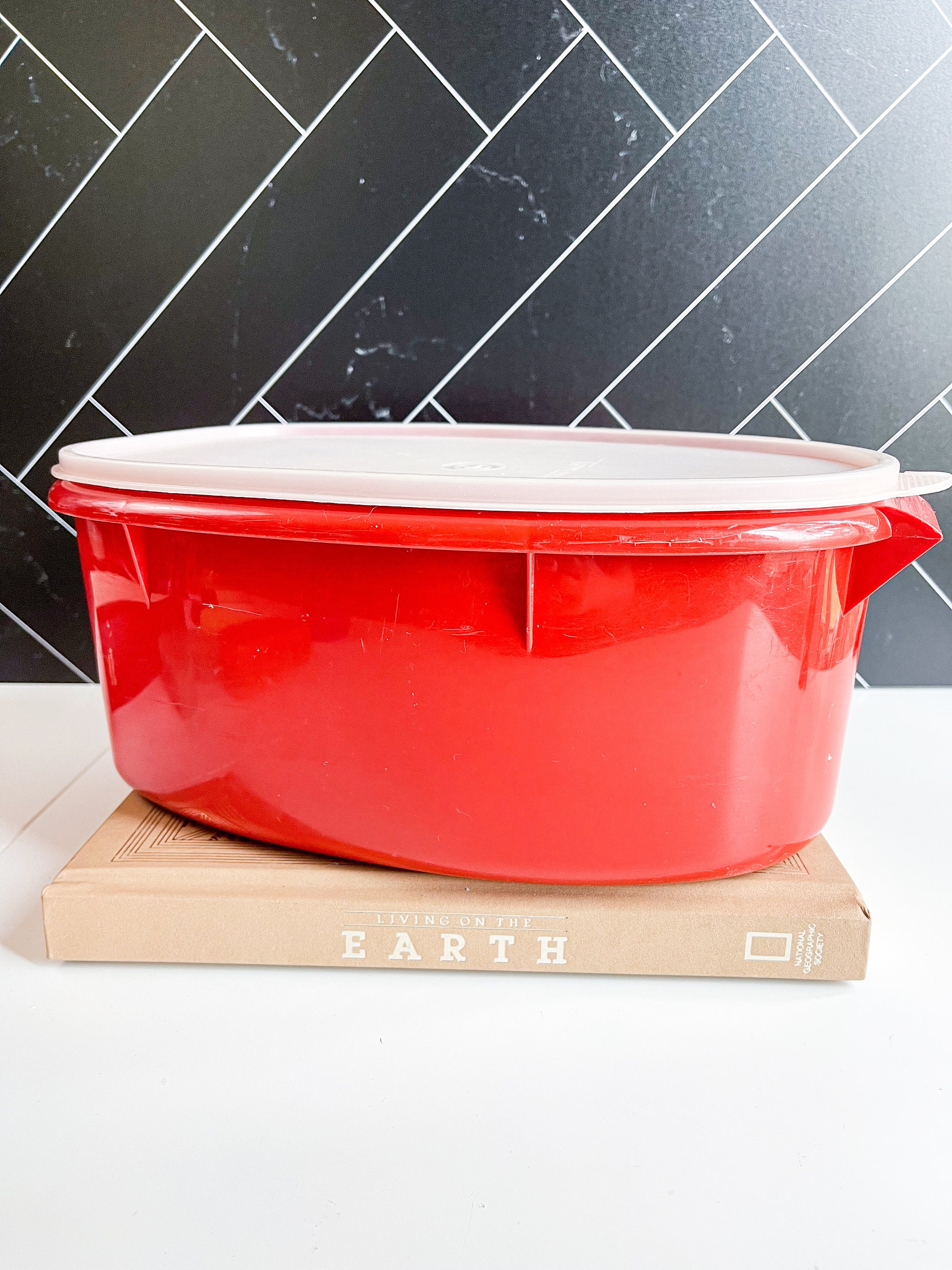タッパーウエア レトロ フレーバー（タッパーウェア 調味料入れ