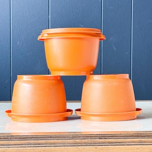 Vintage Tupperware storage bowls