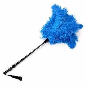 Könnte beinhalten: Ein blauer Federstaubwedel mit schwarzem Griff und Quaste. Der Staubwedel hat einen großen Cluster aus leuchtend blauen Federn, die an einem langen, schlanken schwarzen Griff befestigt sind. Eine dekorative schwarze Quaste hängt am Ende des Griffs.