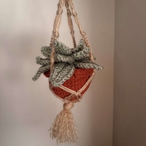 May include: A crocheted hanging planter with a terracotta-colored pot and a green succulent plant. The planter has a long, cream-colored tassel.