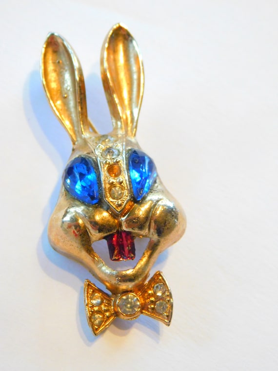 Wonderful rabbit pin