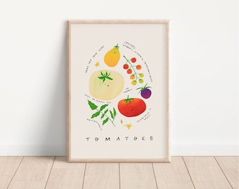 Cartel educativo de tomates / impresión de arte DIGITAL, arte de la pared del vivero, decoración del arte de la pared del comedor de la cocina, cartel de aprendizaje de verduras