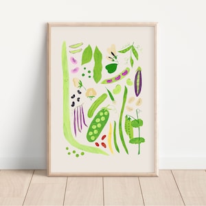 Ilustración de variedades de frijoles y guisantes / Impresión de arte DIGITAL, arte de la pared del vivero, decoración del arte de la pared del comedor de la cocina, cartel de aprendizaje de verduras