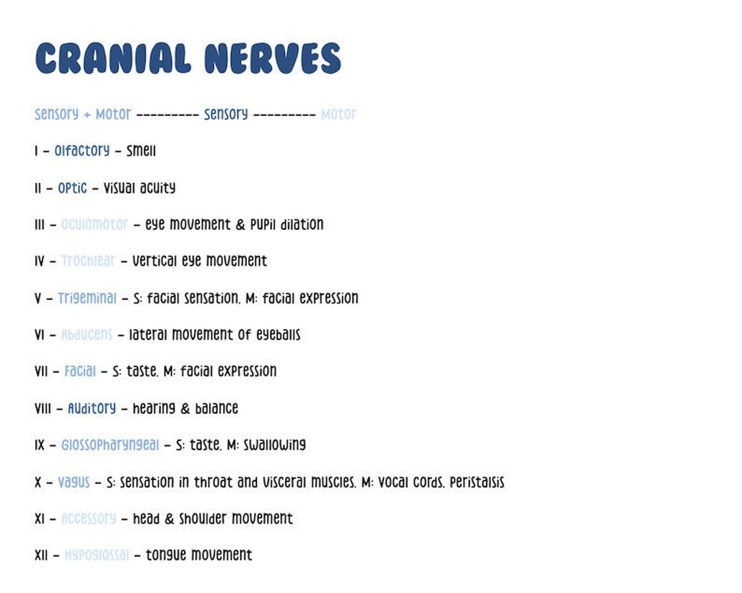 Cranial Nerves Cheat Sheet Nursing Notes Digital Download - Etsy