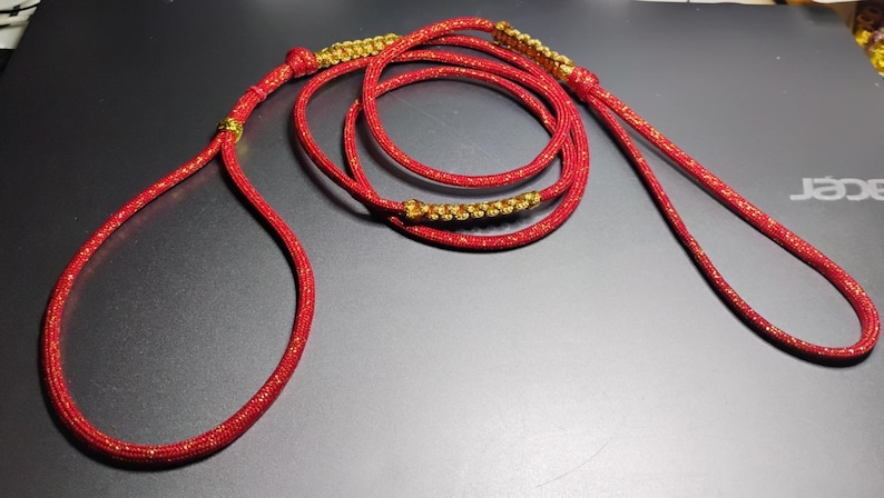 Elegant Dog Show Collar & Show Lead, Great Gift, Custom COLORS, Dog Show lead w/ Smooth or Braided Kindness Neck. Fine Dog Show Slip lead. image 12