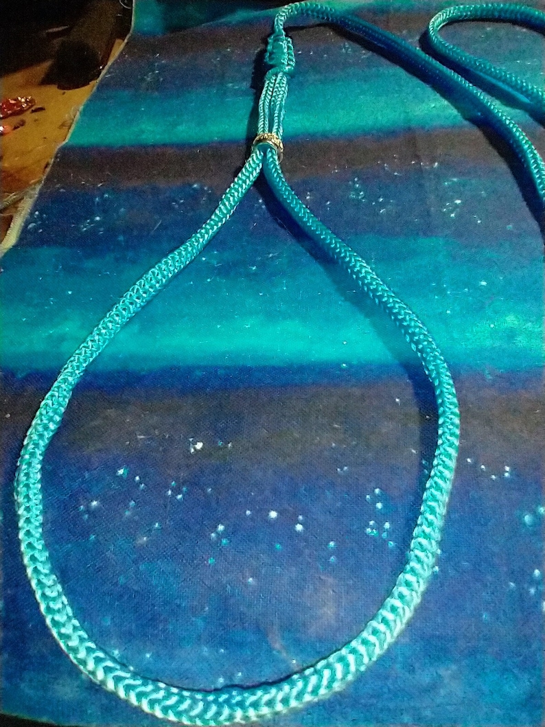 May include: A turquoise blue rope dog leash with a gold metal ring.