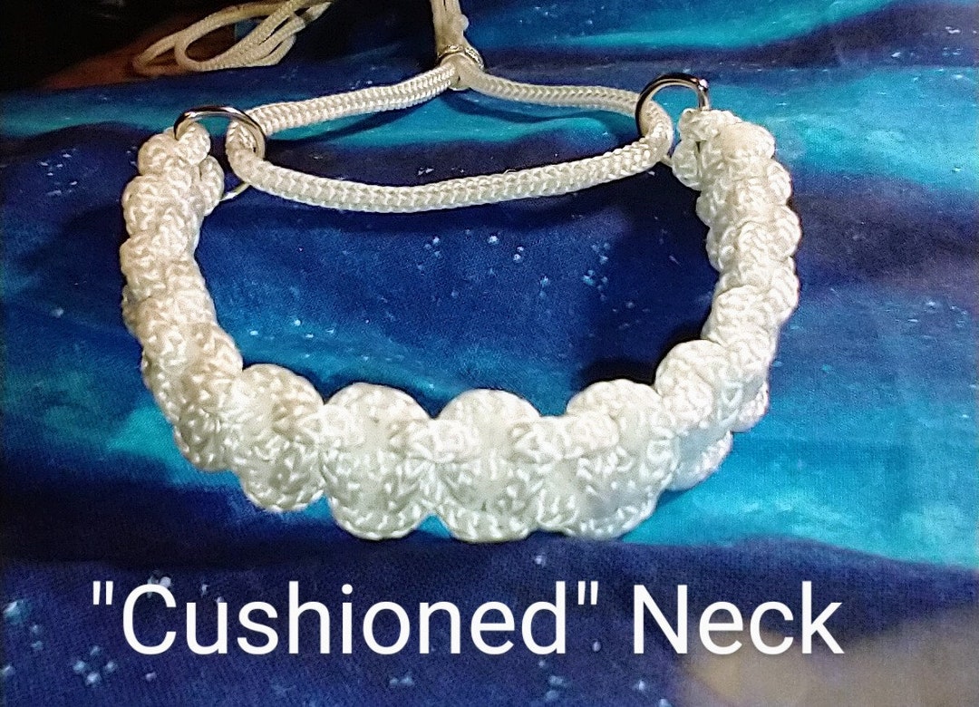 Elegant White Dog Show Collar & Show Lead, White Dog Leash W/ Cushioned