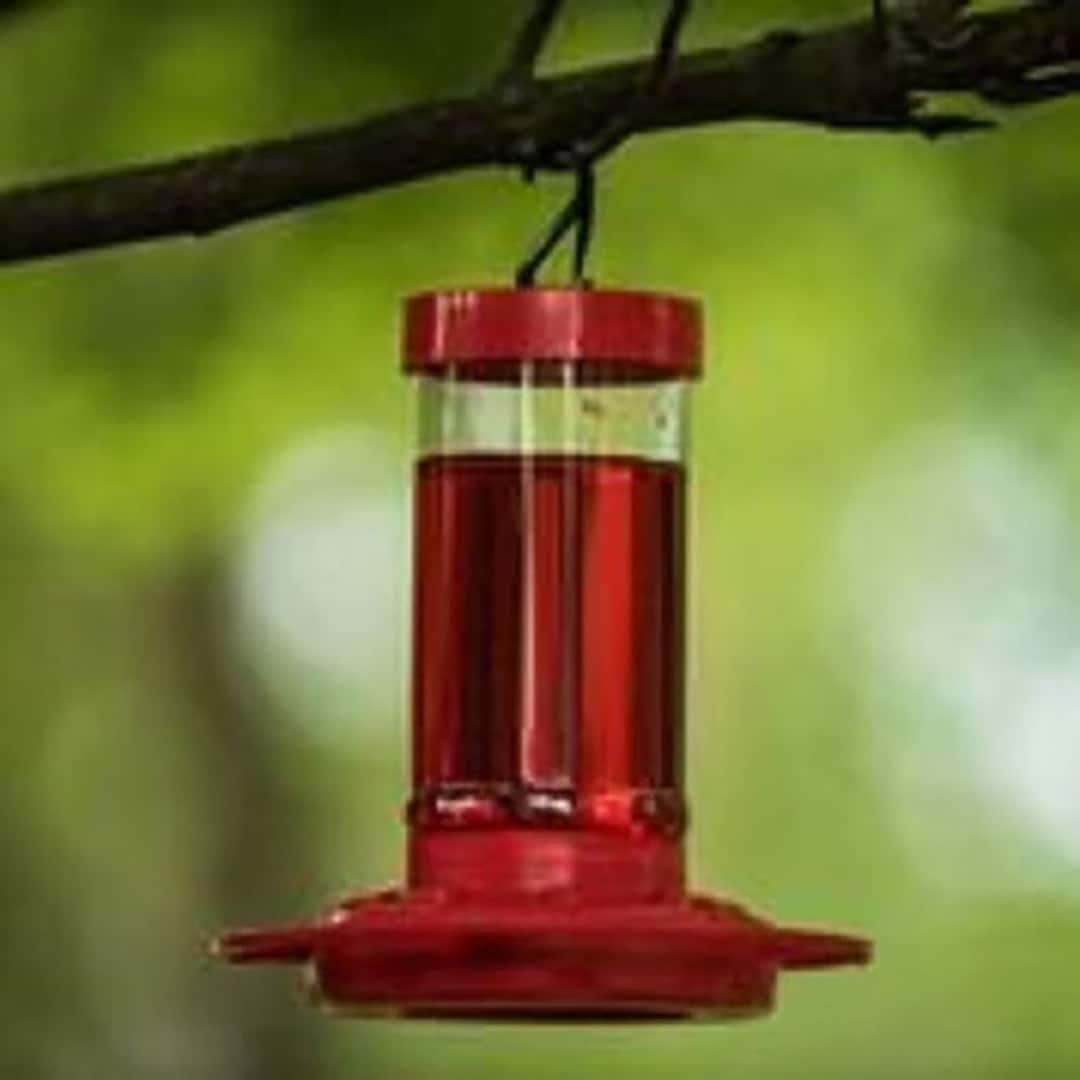 First Nature Hummingbird Feeder 16 Oz Etsy