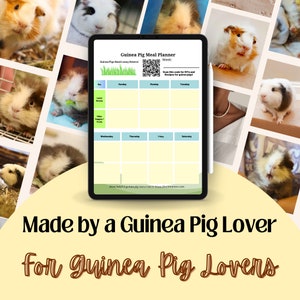 Guinea Pig Care Planner (printable, Digital) - Etsy