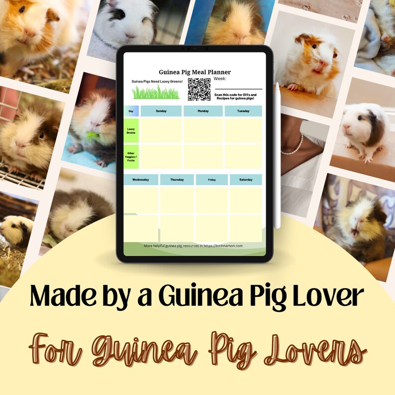 Guinea Pig Care Planner (printable, Digital) - Etsy
