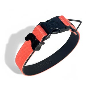 Handmade Coral Dog Collar: Canvas & Leather with Black Hardware