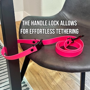 Correa para perros BioThane ajustable de doble función con cierre de seguridad y cinturón